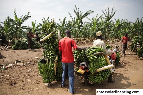 improved sanitation and hygiene financing strategy uganda